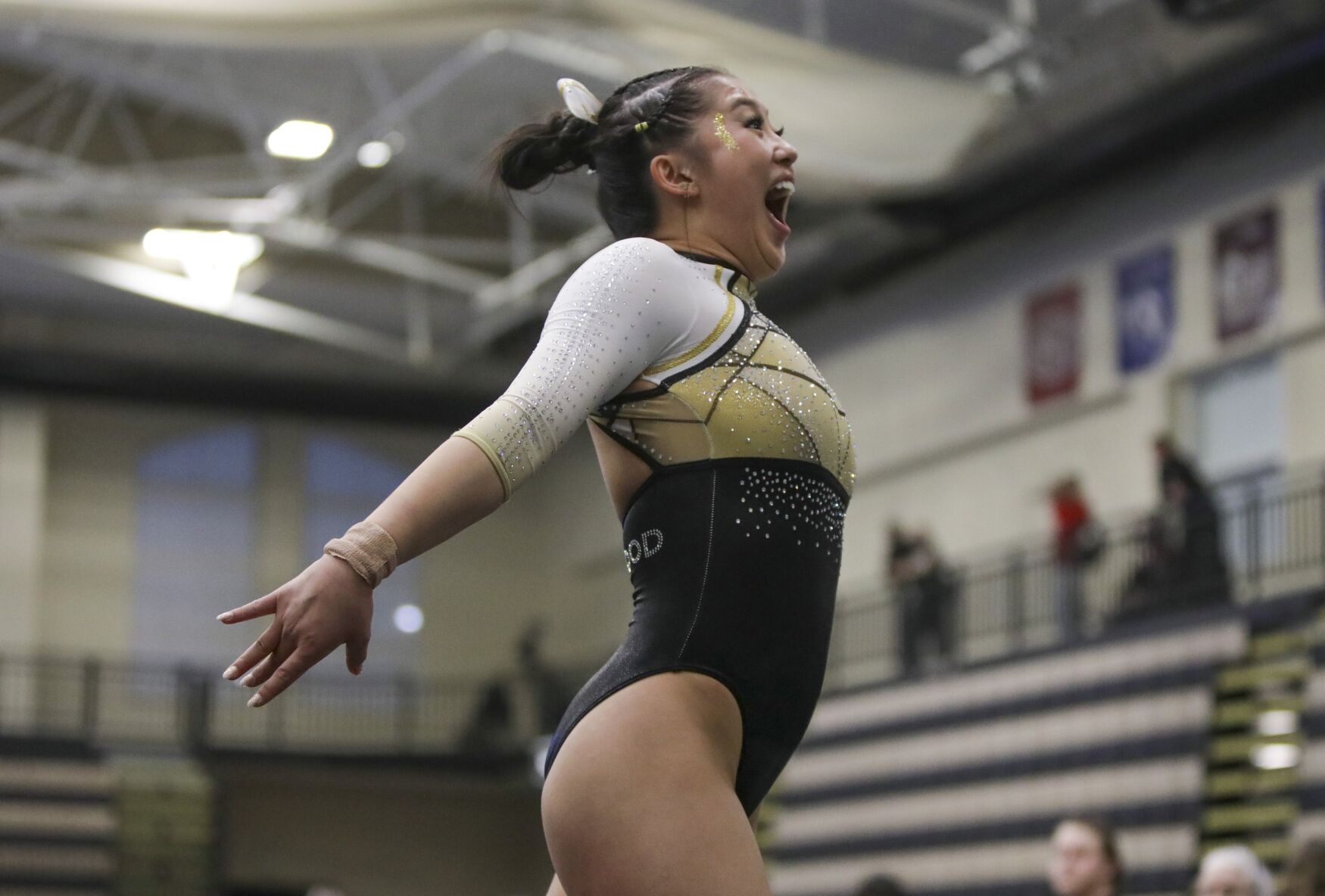 Lindenwood gymnasts stick it one last time